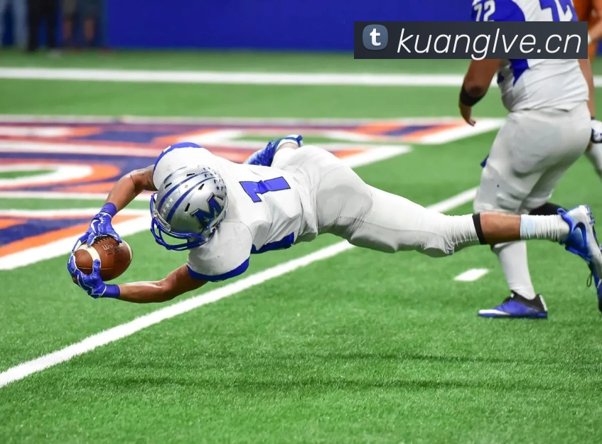 kaiyun官方平台平台生态图